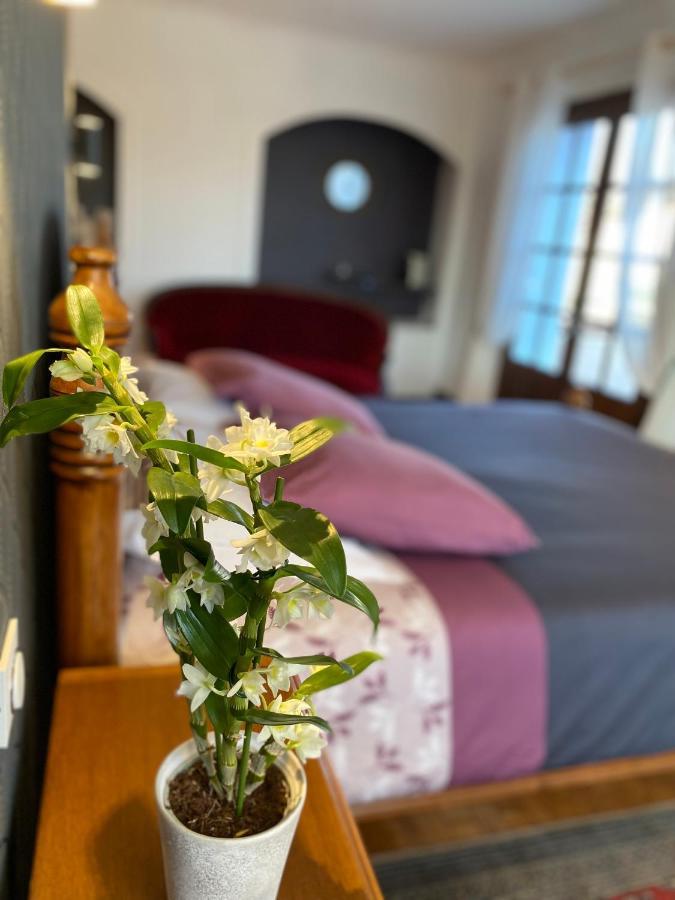 Domaine De La Provencale Bed and Breakfast Saint-Didier-de-la-Tour Eksteriør billede